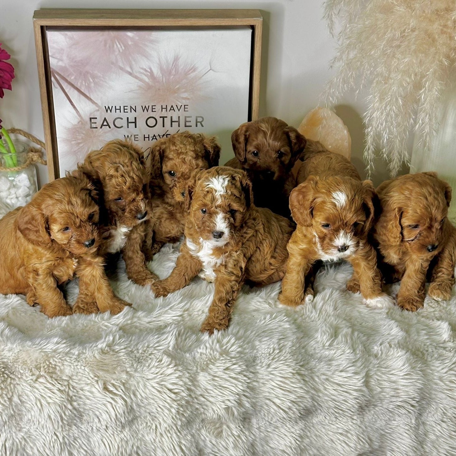 27 June Kids Yoga & Puppy Paint Therapy