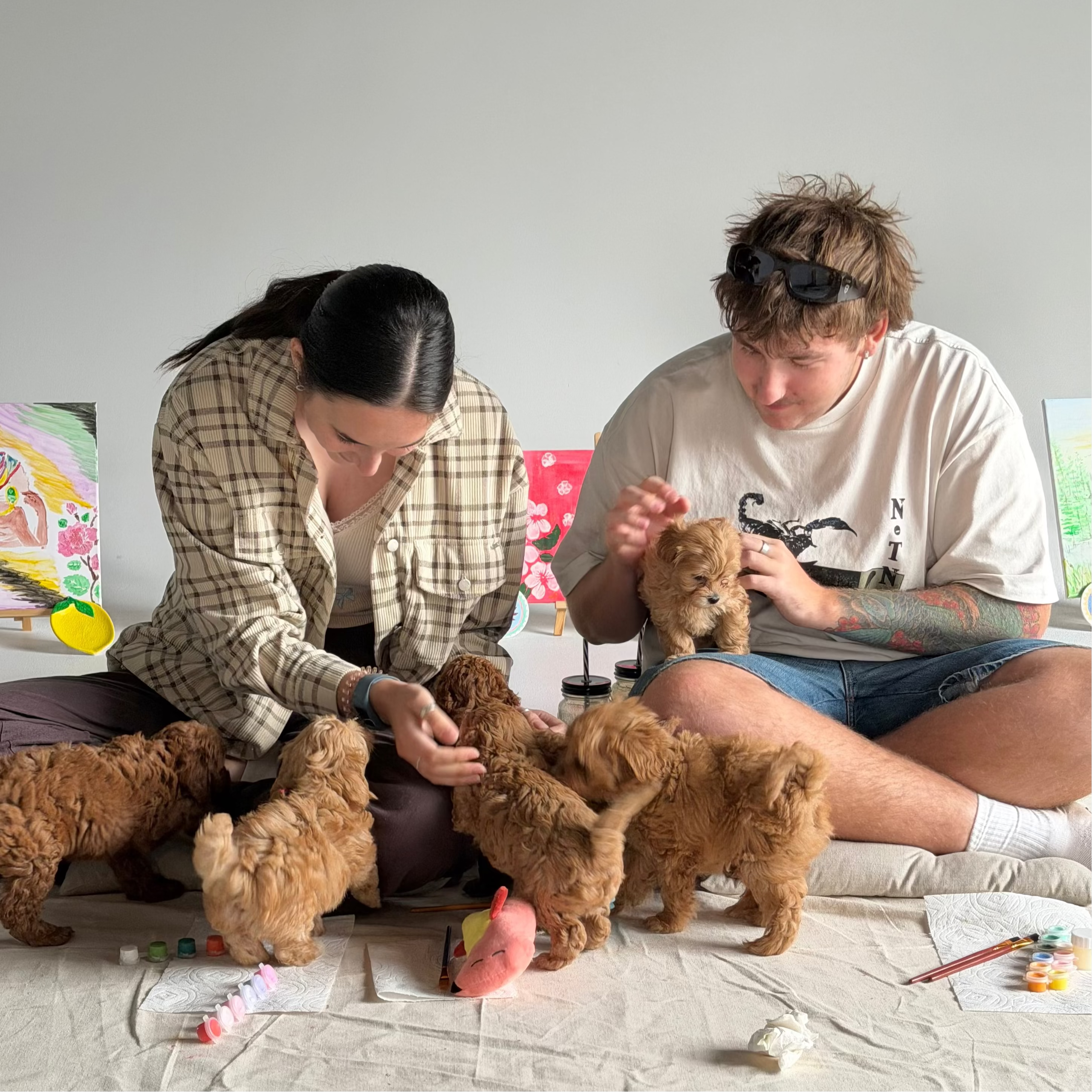 27 June Puppy & Paint Therapy