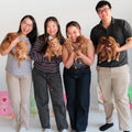 28 June Puppy Paint & Sip (BYO)