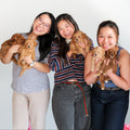 8 Aug Puppy Paint & Sip (BYO)