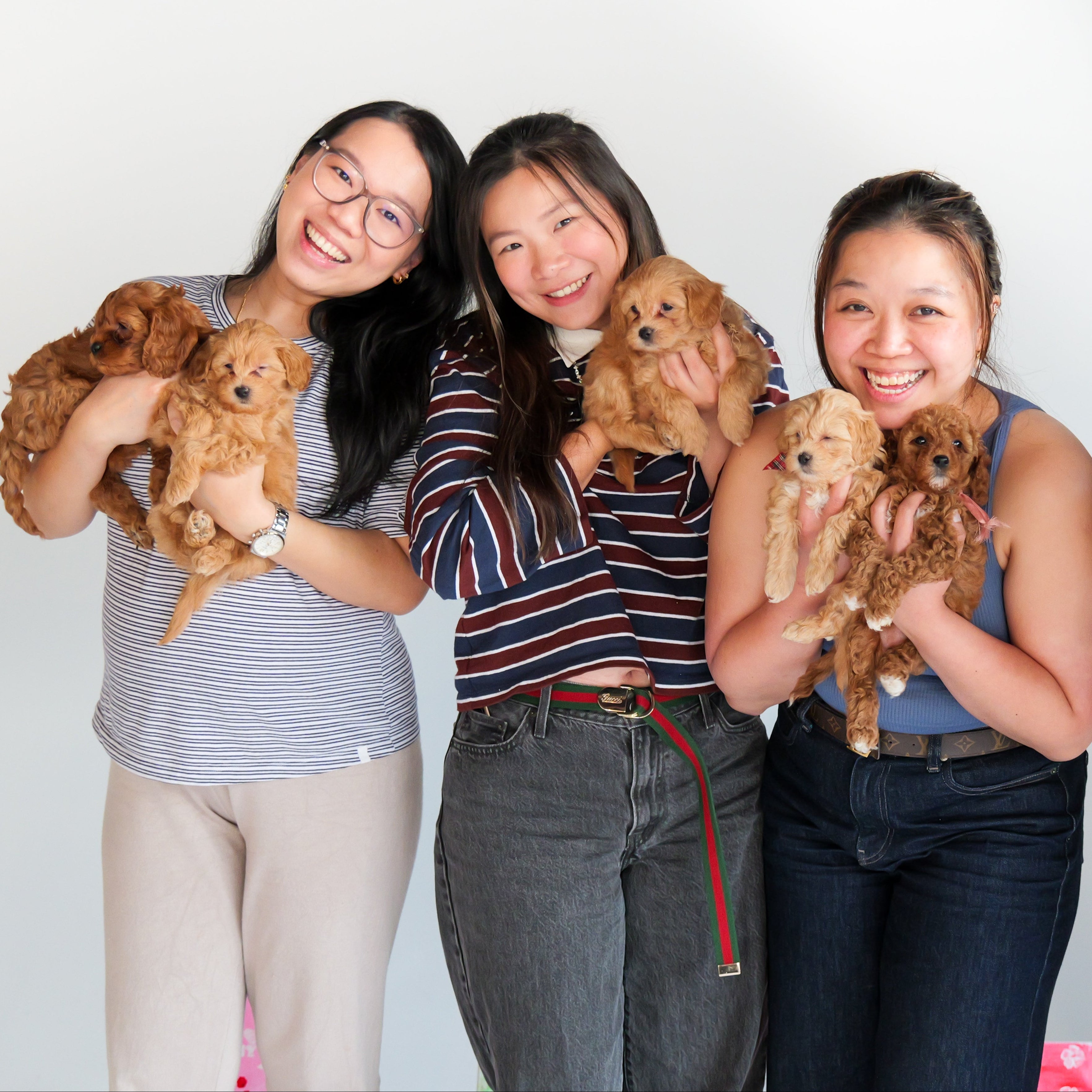 8 Aug Puppy Paint & Sip (BYO)